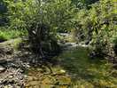 The stream