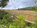View scross the fields