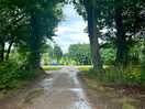 Road down to the fields
