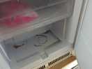 Fridge could do with a clean