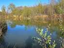 So peaceful