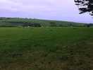 Sheep next to caravan