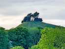 Colmers hill.