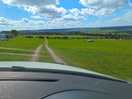 2 large fields