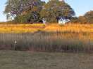 Beautiful countryside