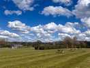 Field