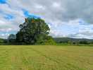 View from the site.