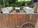 Fresh eggs from the chicken coop available