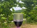 Lovely and quiet to enjoy wine from one of the many vinyards in the area.