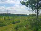 View from pitch 14