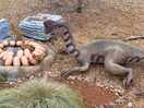 Wildlife park