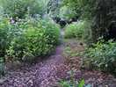 River walk