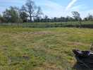 Tent field