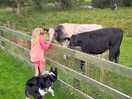 Making friends