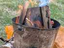 Wood available for camp fires