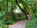 Footpath.