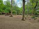 Wooded area