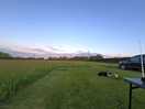 Our pitch