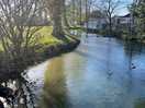 Stream