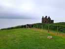 Irische see