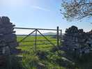 Top of the site