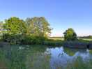 Pond