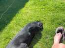 Relaxing in the sun