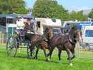 Pembrokeshire show