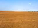 Endless sand