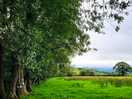 Nearby walks