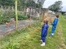 Visiting the chickens