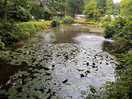 Fishing pond