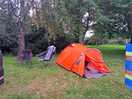 Beautiful pitch, could leave the car next to the tent and stunning trees surrounded us!