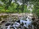 More river