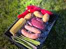 Bbq