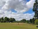 Lovely big field with badminton and basketball net and box of communal outdoor toys.