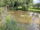 Fishing lake