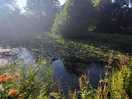 One of the ponds at the site