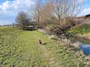 Alongside the river frome