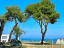 Uitzicht / ruime camperplaatsen camping cala batteria