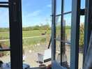 View from shepherds hut with an alpaca!