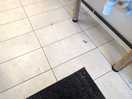 Toilet floor
