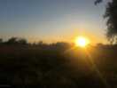 The surrounding area is peaceful