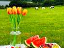Enjoyed the scene while having my fruits