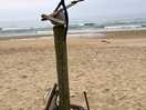 Some beach art