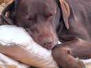 Its been a busy day at the beach.