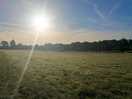 September sunshine