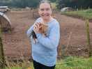 Brand new piglets to the farm
