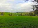 Rolling landscape