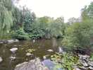 Local walk